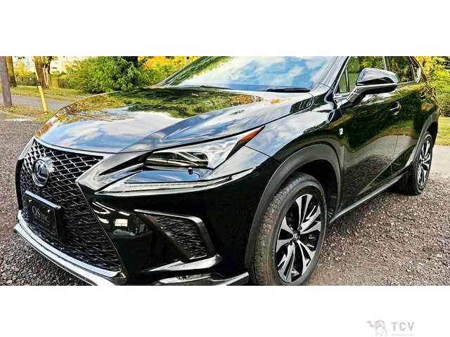 2019 Lexus NX