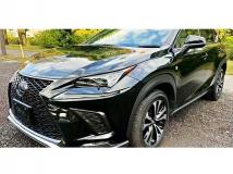 2019 Lexus NX
