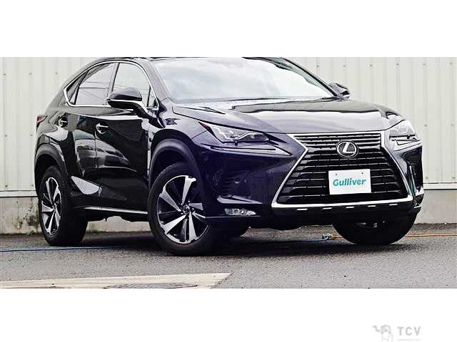 2019 Lexus NX