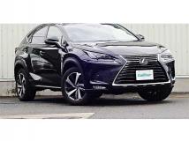 2019 Lexus NX