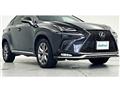 2019 Lexus NX