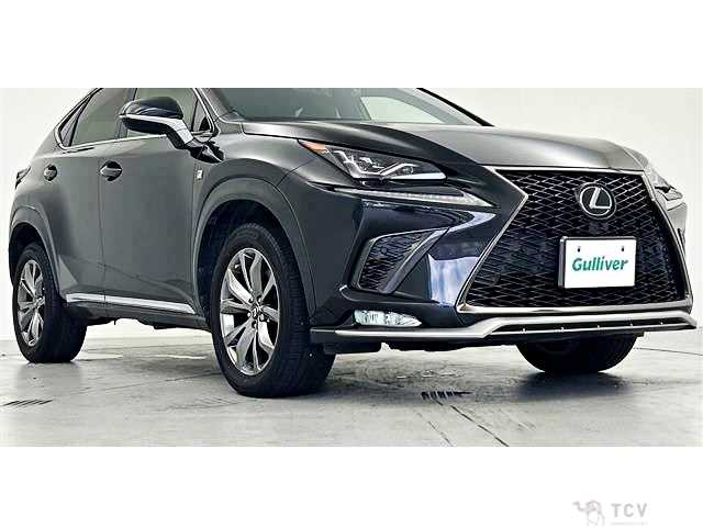 2019 Lexus NX