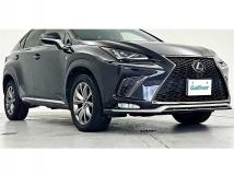 2019 Lexus NX