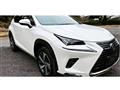 2019 Lexus NX