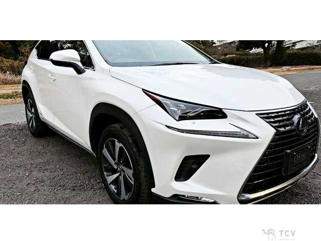 2019 Lexus NX