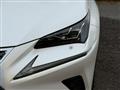 2019 Lexus NX