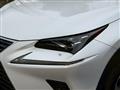 2019 Lexus NX