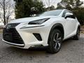 2019 Lexus NX
