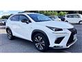 2019 Lexus NX