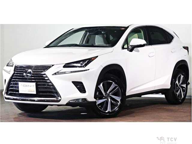 2019 Lexus NX