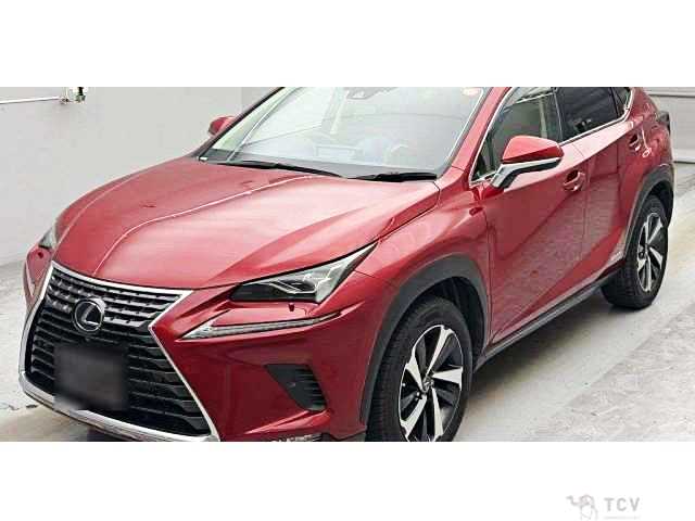 2019 Lexus NX