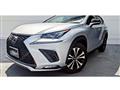 2019 Lexus NX