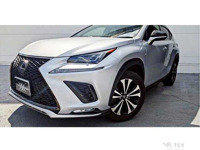 2019 Lexus NX