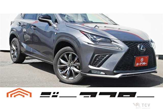 2019 Lexus NX
