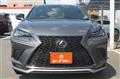 2019 Lexus NX