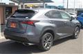 2019 Lexus NX