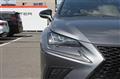 2019 Lexus NX
