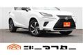 2019 Lexus NX
