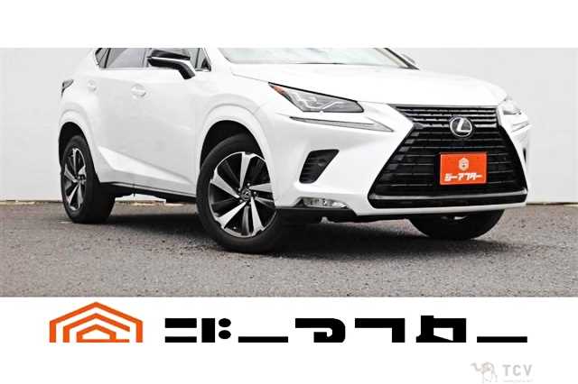 2019 Lexus NX
