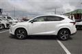 2019 Lexus NX