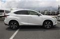2019 Lexus NX