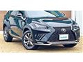 2019 Lexus NX