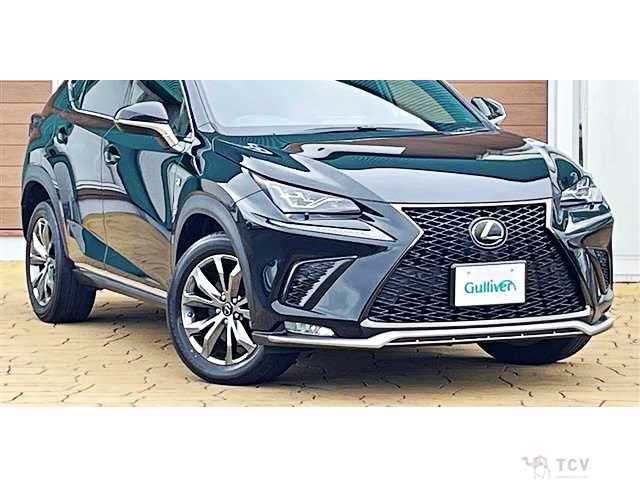 2019 Lexus NX