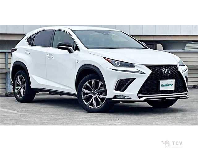 2019 Lexus NX