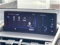 2019 Lexus NX