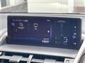 2019 Lexus NX
