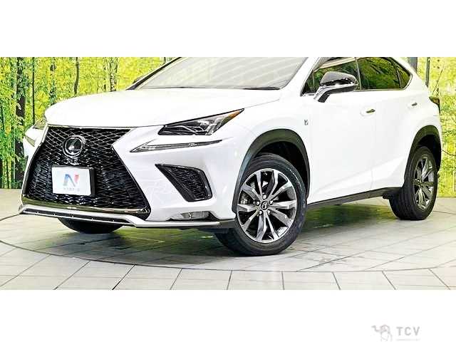 2019 Lexus NX