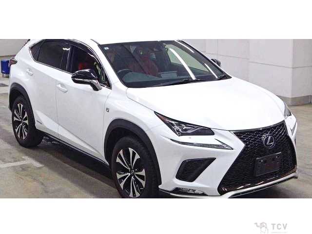 2019 Lexus NX