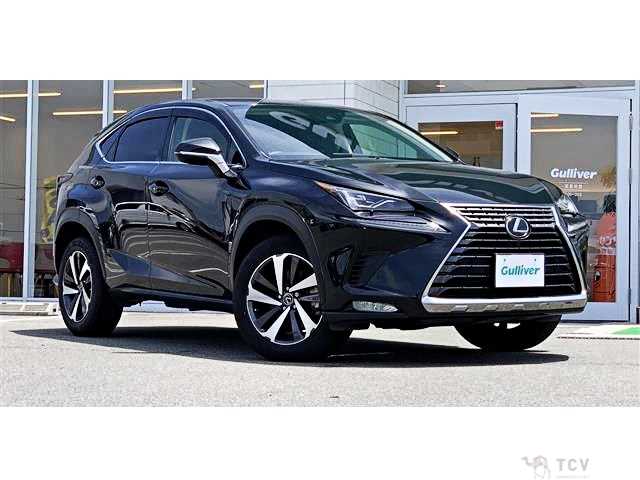 2019 Lexus NX