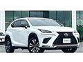 2019 Lexus NX