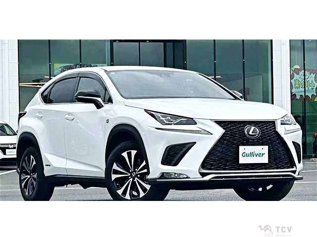 2019 Lexus NX