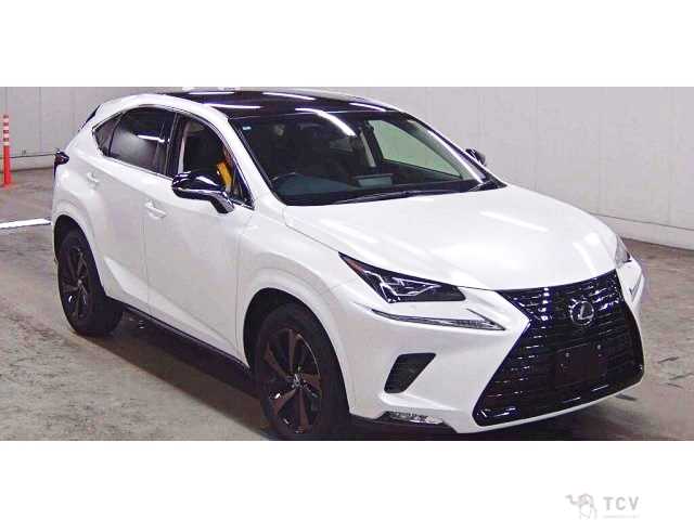 2019 Lexus NX
