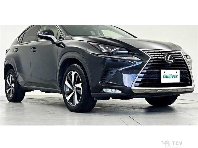 2019 Lexus NX