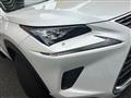 2019 Lexus NX