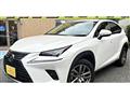 2019 Lexus NX