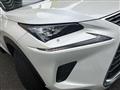 2019 Lexus NX