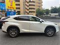 2019 Lexus NX