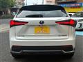 2019 Lexus NX