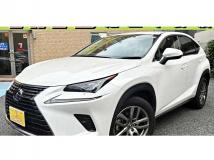 2019 Lexus NX