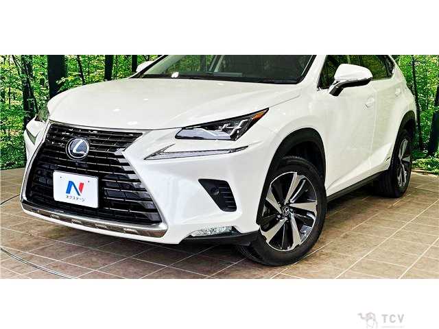 2019 Lexus NX