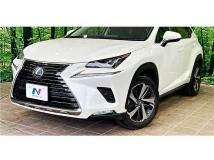 2019 Lexus NX