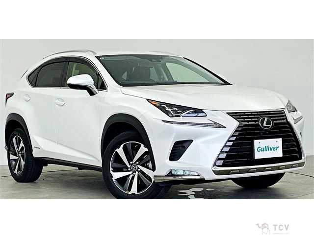 2019 Lexus NX