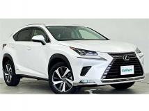 2019 Lexus NX