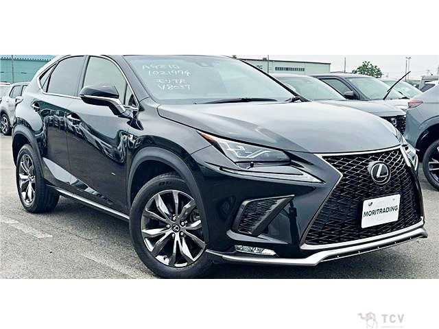 2019 Lexus NX