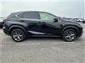2019 Lexus NX