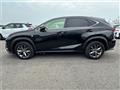 2019 Lexus NX